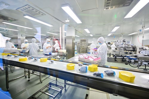 餐桌上的安全衛士 走進沈陽綠色工廠，揭秘食品產業的生產革命